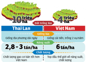 Việt Nam thua Th&aacute;i Lan về giống n&ocirc;ng sản?
