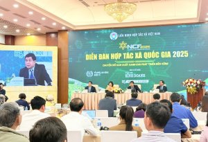 Hợp t&aacute;c x&atilde; cần nhanh ch&oacute;ng chuyển tư duy sản xuất n&ocirc;ng nghiệp sang kinh tế n&ocirc;ng nghiệp
