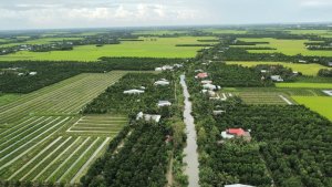 Chuyển đổi số n&ocirc;ng nghiệp: c&acirc;u chuyện nằm ở&hellip; dữ liệu!