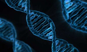 Kỹ thuật mới để &ldquo;nếm&rdquo; DNA
