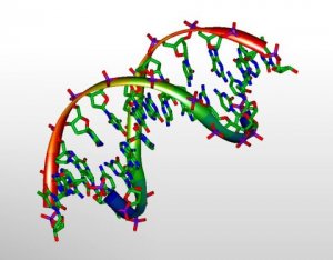 Cơ học lượng tử giải th&iacute;ch DNA c&oacute; thể đột biến một c&aacute;ch tự nhi&ecirc;n
