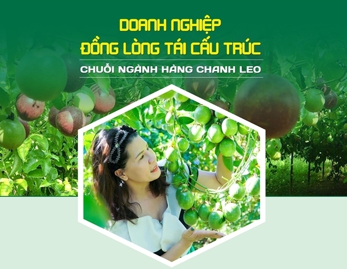 Doanh nghiệp đồng l&ograve;ng t&aacute;i cấu tr&uacute;c chuỗi ng&agrave;nh h&agrave;ng chanh leo 