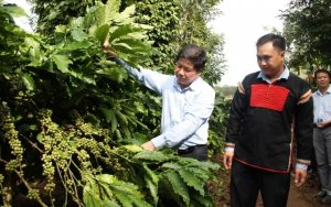 Đa gi&aacute; trị trong ph&aacute;t triển dịch vụ c&aacute;c bon 