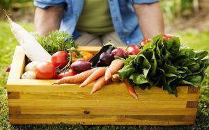 Doanh nghiệp n&ocirc;ng nghiệp đối diện ba thử th&aacute;ch