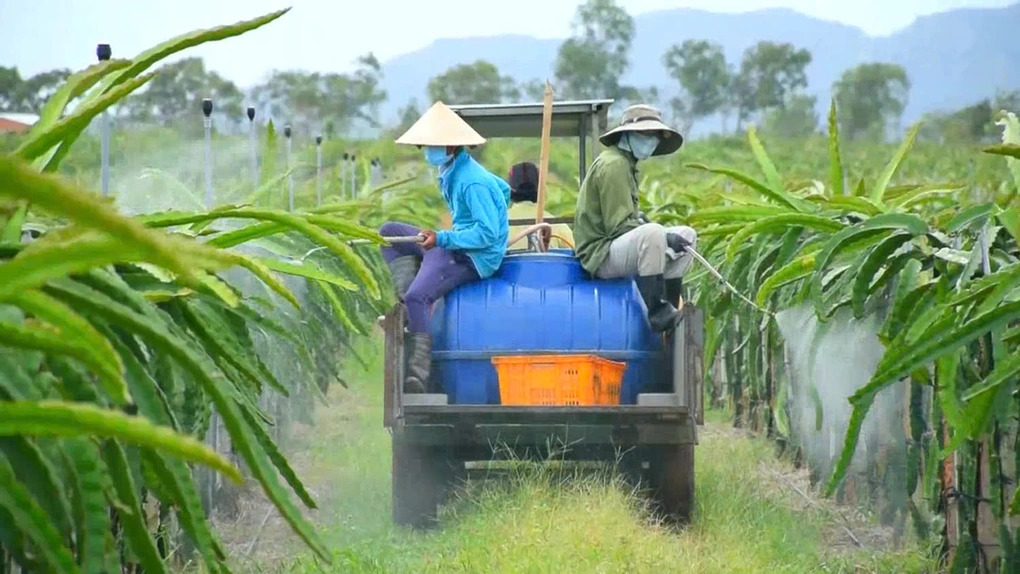 Đổi mới s&aacute;ng tạo, giải ph&aacute;p ưu ti&ecirc;n đầu tư của ng&agrave;nh khoa học c&acirc;y trồng