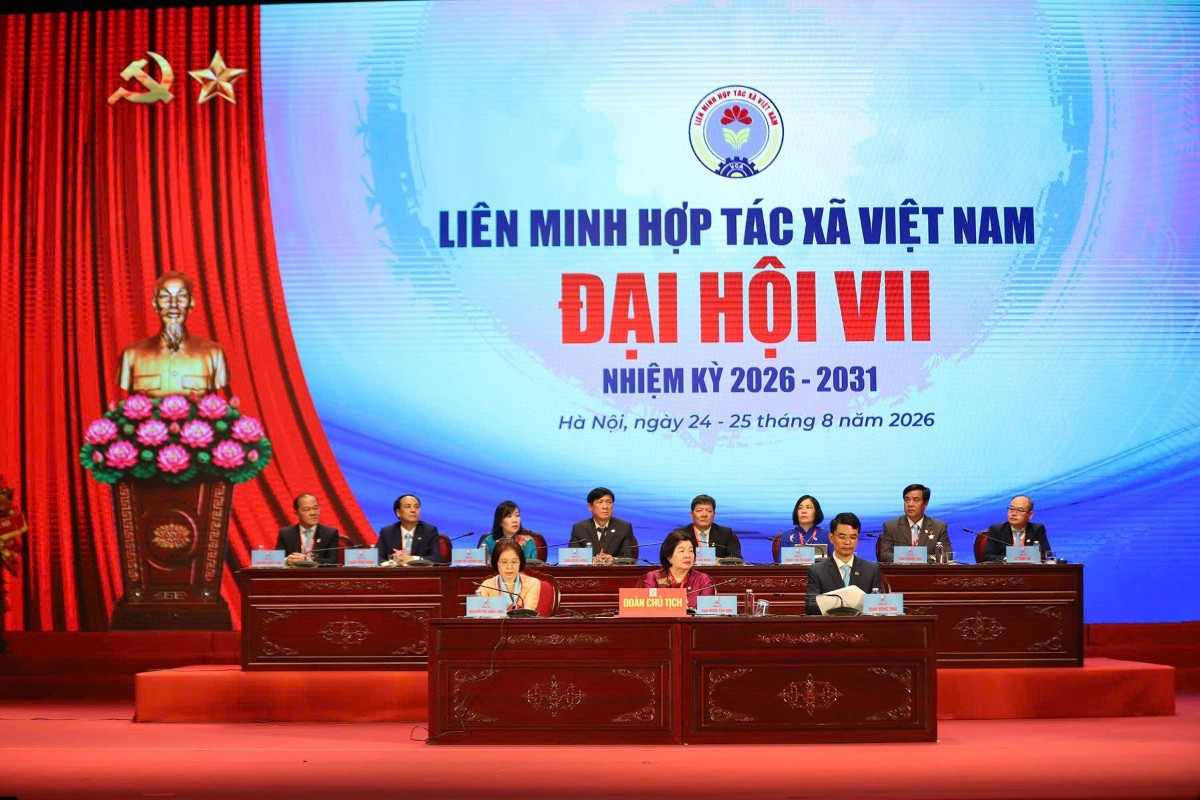 Đổi mới tư duy hợp t&aacute;c x&atilde;, tạo động lực n&acirc;ng tầm gi&aacute; trị v&agrave; ph&aacute;t triển bền vững