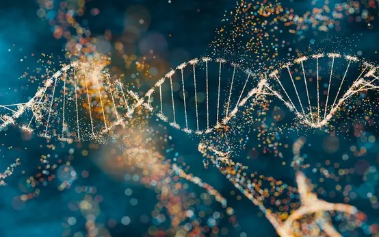Đột ph&aacute; về DNA m&ocirc;i trường mở ra hướng mới cho c&ocirc;ng t&aacute;c bảo tồn
