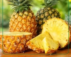 Nghi&ecirc;n cứu phương ph&aacute;p t&aacute;i sinh v&agrave; nh&acirc;n chồi in vitro trực tiếp cho giống dứa MD2