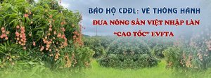 Bảo hộ CDĐL: v&eacute; th&ocirc;ng h&agrave;nh đưa n&ocirc;ng sản Việt nhập l&agrave;n &ldquo;cao tốc EVFTA&rdquo;.