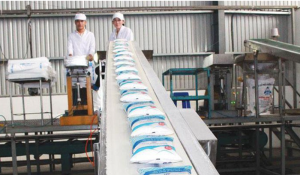 Gi&aacute; đường Việt Nam ngược chiều với thế giới