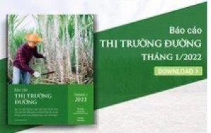 Thị trường đường th&aacute;ng 2/2022: Xung đột Nga - Ukraine gi&aacute;n tiếp t&aacute;c động đến thị trường đường
