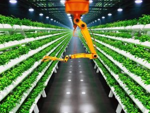 Với n&ocirc;ng nghiệp điện, c&acirc;y trồng c&oacute; thể sản xuất thực phẩm trong b&oacute;ng tối v&agrave; với diện t&iacute;ch đất &iacute;t hơn 94%