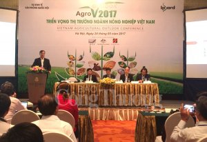 Triển vọng thị trường nông nghiệp Việt Nam 2017