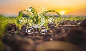 N&ocirc;ng d&acirc;n Đ&ocirc;ng Nam &Aacute; ứng dụng agritech, th&uacute;c đẩy sản xuất v&agrave; giảm t&aacute;c động đến m&ocirc;i trường