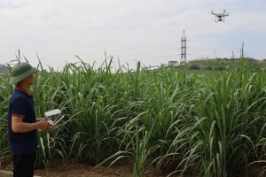 V&igrave; sao đổi mới s&aacute;ng tạo lu&ocirc;n gai g&oacute;c?