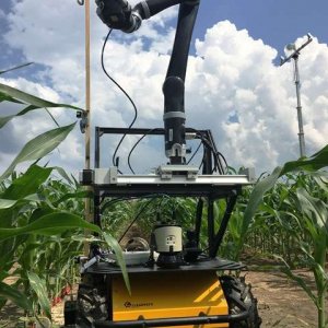 Chiến đấu với nạn đ&oacute;i tr&ecirc;n thế giới: Ng&agrave;nh robot hỗ trợ nghi&ecirc;n cứu ng&ocirc; v&agrave; khả năng chịu hạn