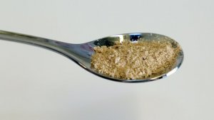 Dự án Food From Electricity cho &ldquo;quả ngọt&rdquo; giàu protein đ&acirc;̀u ti&ecirc;n
