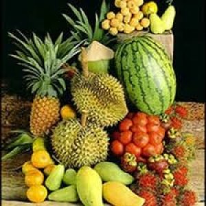Th&ocirc;ng tin về rau quả tại Trung Quốc v&agrave; một số thị trường kh&aacute;c