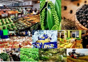 Chuyển đổi số trong x&uacute;c tiến thương mại n&ocirc;ng nghiệp &ndash; dấu ấn năm 2021 