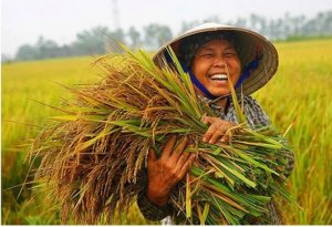 Đồng bằng s&ocirc;ng Cửu Long: Trước ngưỡng tới hạn của m&ocirc; h&igrave;nh ph&aacute;t triển cũ