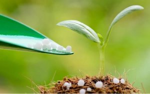 Gi&aacute; ph&acirc;n b&oacute;n tiếp tục lập kỷ lục mới, tăng 5-10% mỗi tuần 
