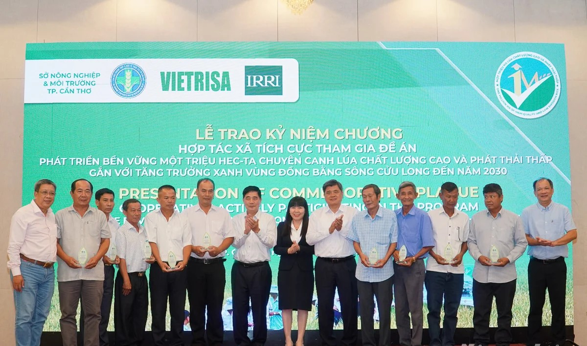 Gắn 'hộ chiếu xanh' cho thương hiệu gạo Việt ph&aacute;t thải thấp