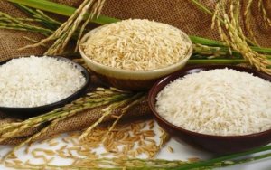 Gi&aacute; l&uacute;a gạo h&ocirc;m nay 7/10: Gạo nguy&ecirc;n liệu giảm nhẹ