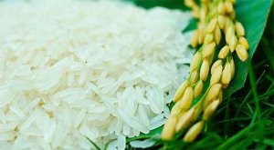 Năm 2017 xuất khẩu gạo tăng trưởng vượt mục ti&ecirc;u