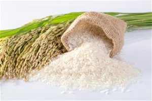 Thị trường gạo th&aacute;ng 4/2019: Nguồn cung khan hiếm, gi&aacute; gạo trong nước dự b&aacute;o tăng nhẹ