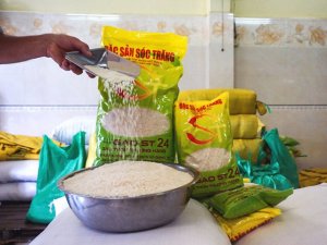 Gi&aacute; l&uacute;a, gạo tuần đến 8/12/2019 tăng