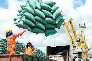 Thị trường xuất khẩu gạo 8 th&aacute;ng năm 2021 