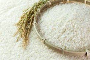 Xuất khẩu gạo li&ecirc;n tục sụt giảm 