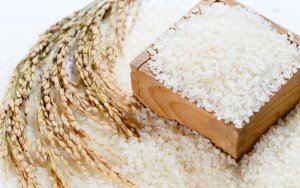 Xuất khẩu gạo tăng trưởng đột biến ở thị trường Indonesia v&agrave; Bangladesh