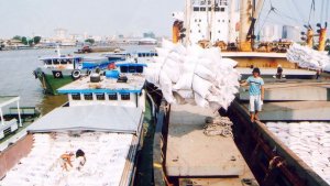 Kim ngạch xuất khẩu gạo tăng cao nhờ gi&aacute; tăng mạnh