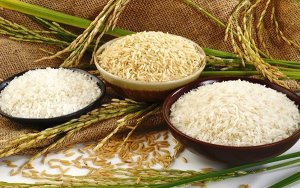 BC thị trường gạo th&aacute;ng 10: Tiếp tục khởi sắc nhờ nhu cầu từ Philippines v&agrave; Indonesia