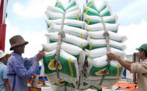 Xuất khẩu sang thị trường Bỉ, mặt h&agrave;ng gạo tăng mạnh 