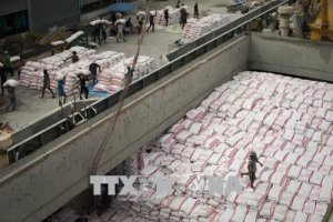 Xuất khẩu gạo thế giới trước những kh&oacute; khăn