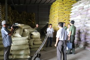 L&agrave;nh mạnh ng&agrave;nh giống để thơm danh gạo Việt