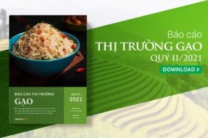 Thị trường gạo qu&yacute; II/2021: Dịch bệnh phức tạp, xuất khẩu sang thị trường chủ đạo giảm mạnh