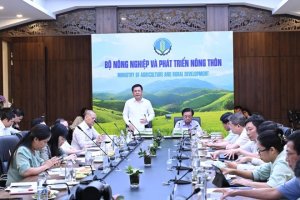 Li&ecirc;n bộ C&ocirc;ng Thương-N&ocirc;ng nghiệp đề xuất th&agrave;nh lập Hội đồng l&uacute;a gạo quốc gia 