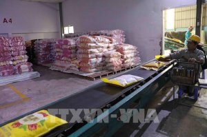 Thị trường n&ocirc;ng sản: Gi&aacute; gạo xuất khẩu chạm mức cao nhất trong gần ba th&aacute;ng