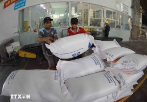 Thị trường n&ocirc;ng sản: Gi&aacute; gạo xuất khẩu biến động nhẹ 
