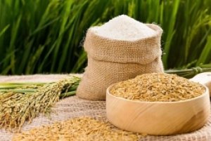 Thị trường gạo qu&yacute; III: Ấn Độ nới lỏng xuất khẩu gạo, Việt Nam c&oacute; bị ảnh hưởng?