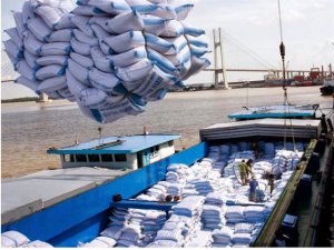 Gạo Việt Nam h&uacute;t kh&aacute;ch tại c&aacute;c thị trường trọng điểm