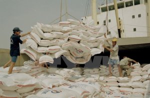 Indonesia l&ecirc;n kế hoạch nhập khẩu gạo chất lượng cao của Việt Nam