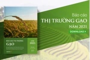 Thị trường gạo th&aacute;ng 1/2022: Xuất khẩu gạo tăng mạnh, kỳ vọng cho một năm tăng trưởng về lượng v&agrave; chất 