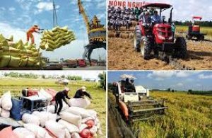 Xuất khẩu gạo sang c&aacute;c thị trường 10 th&aacute;ng năm 2023 