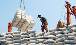 Kim ngạch xuất khẩu gạo sang c&aacute;c thị trường 8 th&aacute;ng năm 2023 tăng 35,7%