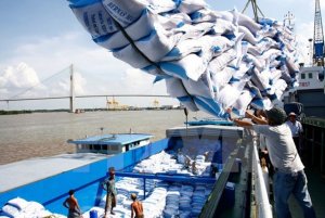 Xuất khẩu gạo 9 th&aacute;ng đầu năm sang c&aacute;c thị trường chủ đạo tăng trưởng tốt