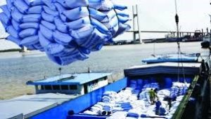 Xuất khẩu gạo sang c&aacute;c thị trường năm 2021 